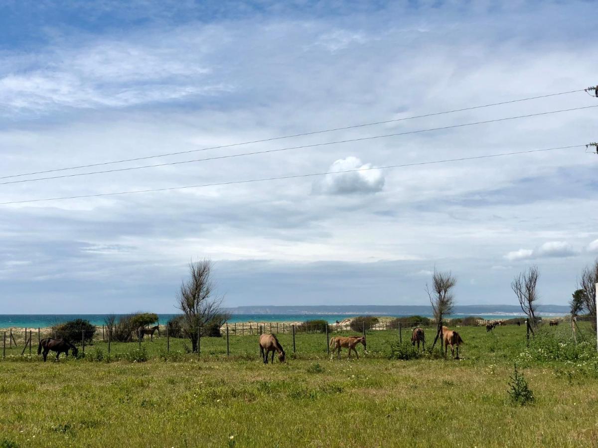 Apartamento Aretusa Zahara de los Atunes Esterno foto