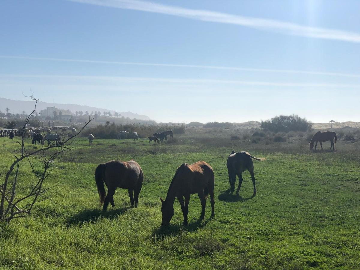 Apartamento Aretusa Zahara de los Atunes Esterno foto
